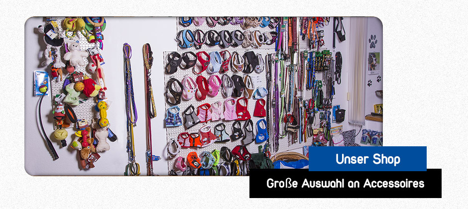 1A Hundesalon Kiel Shopbereich Futter und Zubehör