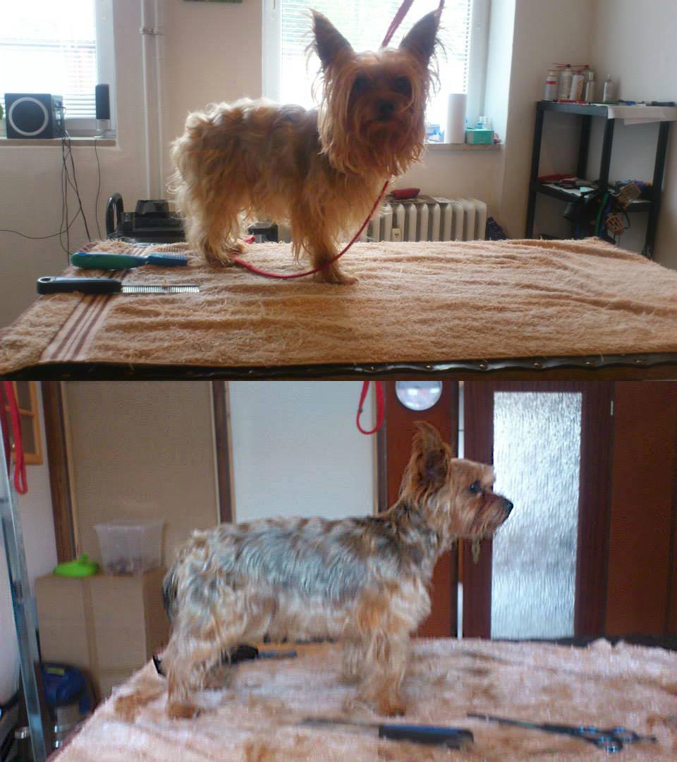 Vorher-Nachher Foto 1